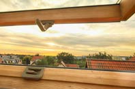 rated Colemore Green roof window companies